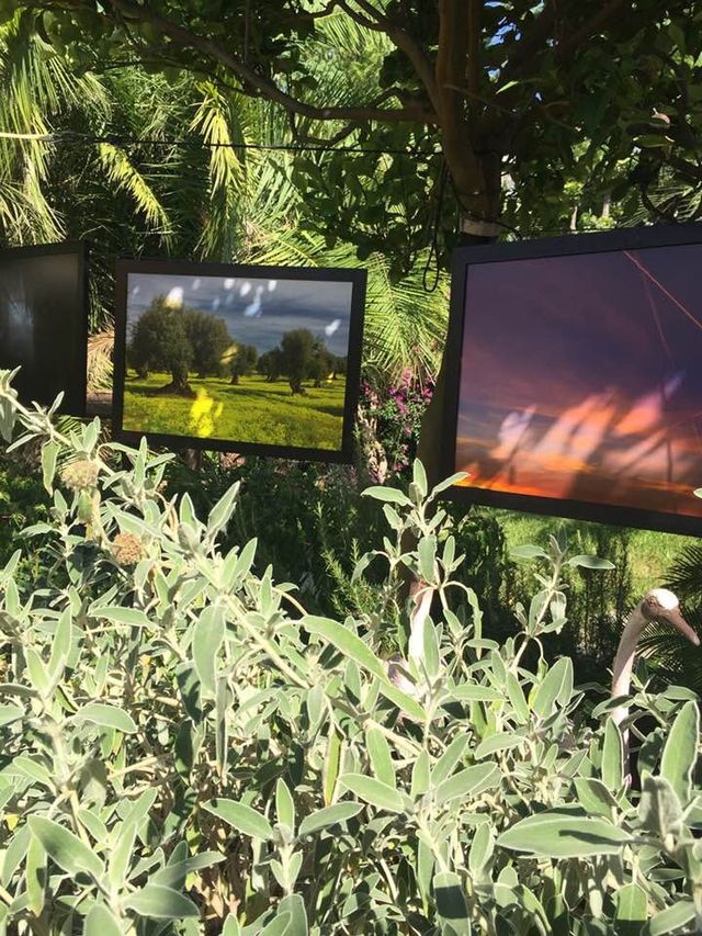 ISCHIA CONTEMPRANY ART 14-24 LUGLIO 2019