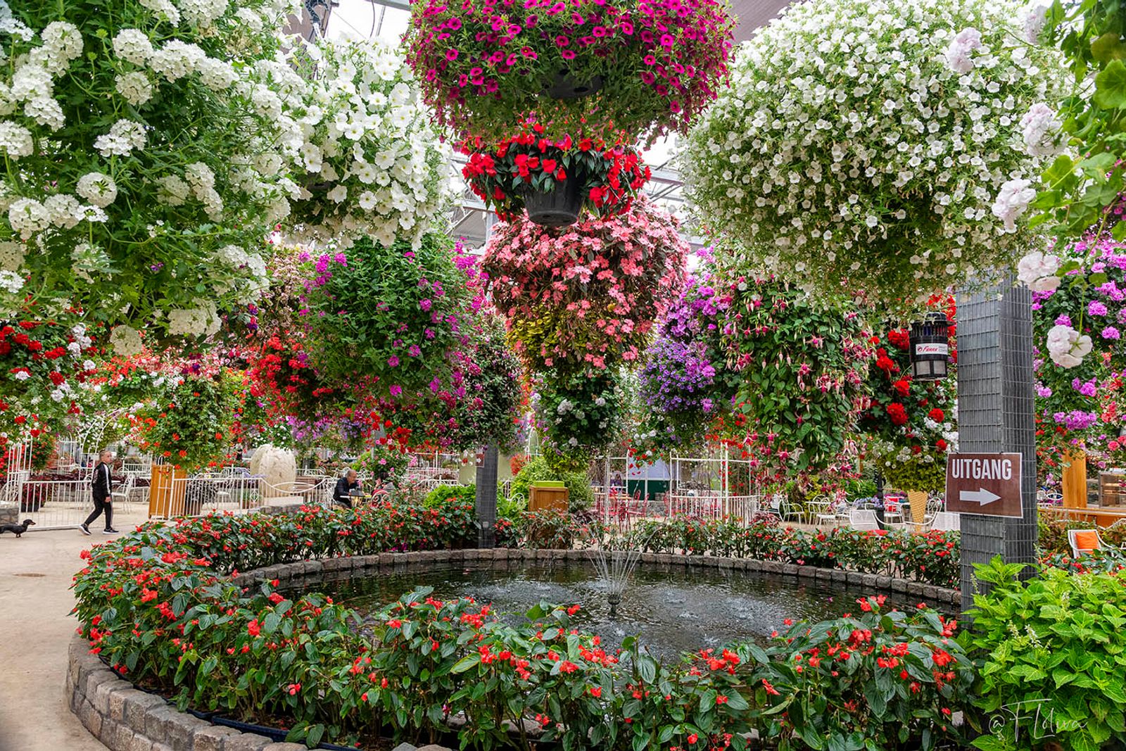 UN GARDEN CENTER