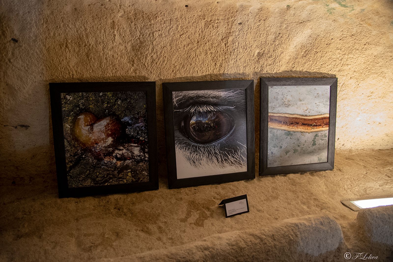 OPERA VINCITRICE DEL PREMIO FOTOGRAFIA