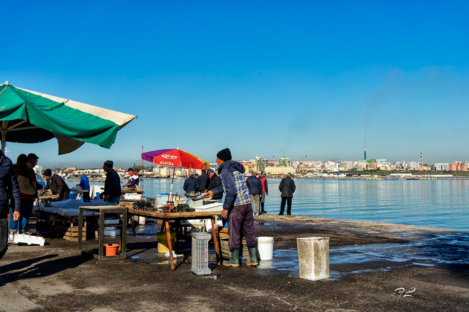 IL MERCATO DEL PESCE