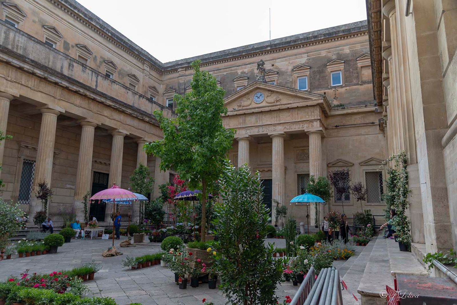 LECCE - CORTILI APERTI — fotografia 7 di Francesco Loliva