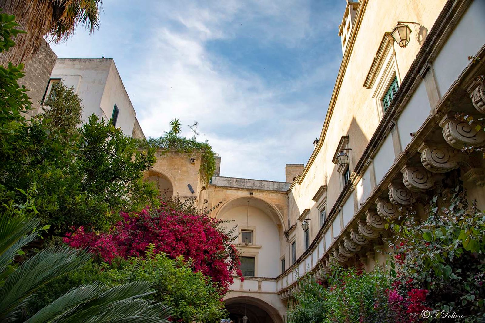 LECCE - CORTILI APERTI — fotografia 17 di Francesco Loliva