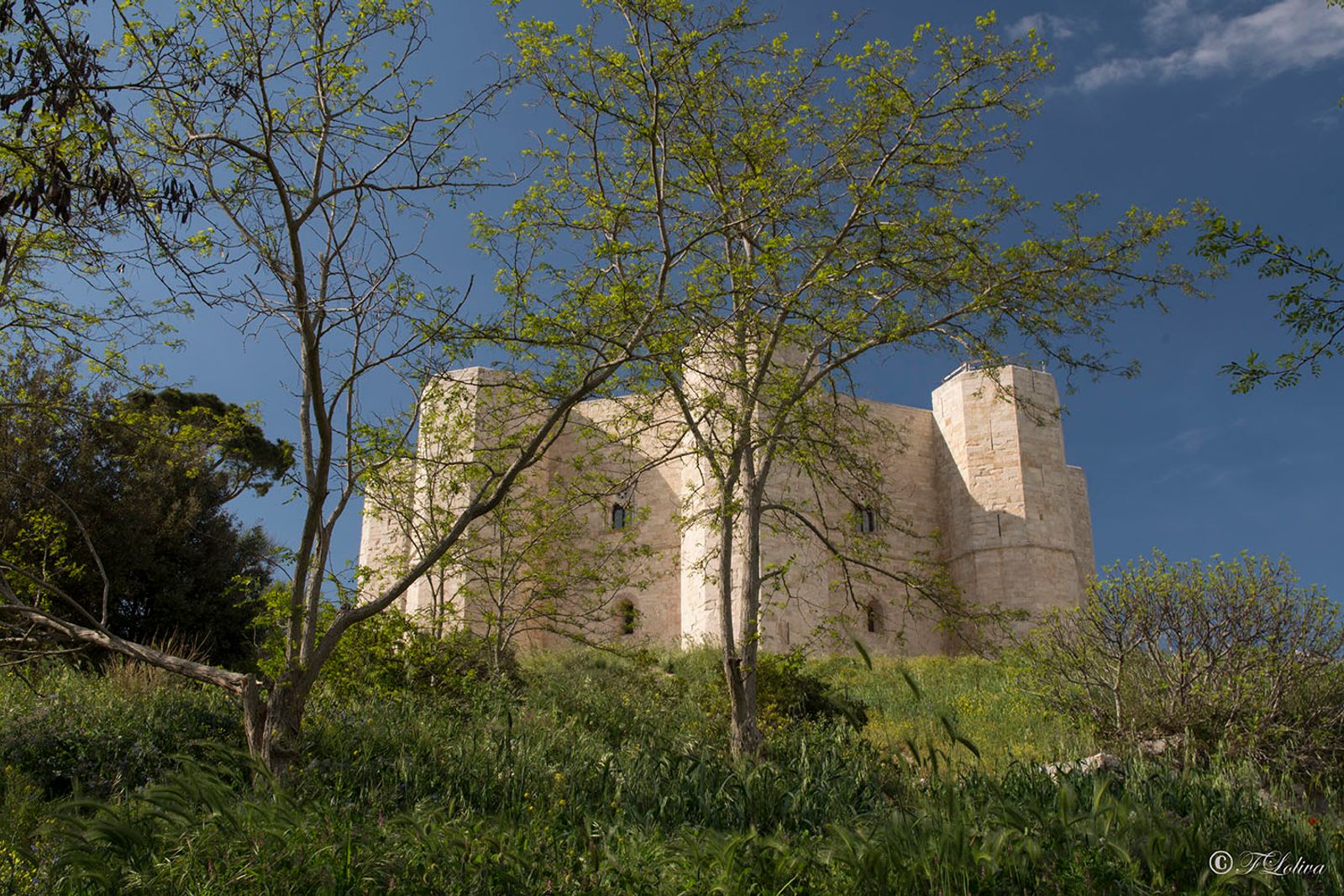Otto sono i lati della pianta del Castello, otto le sale del piano terra e del primo piano a pianta trapezoidale…