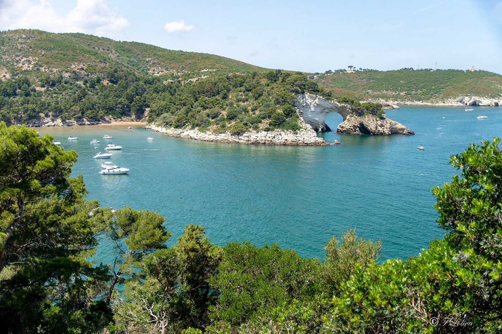 VIESTE - PESCHICI — fotografia 33 di Francesco Loliva