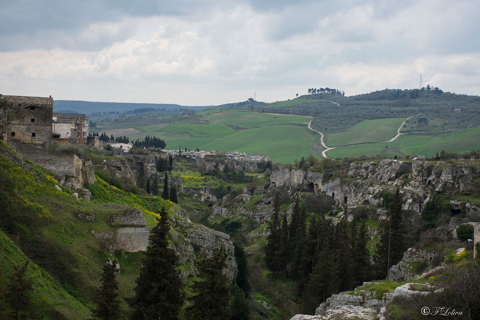 GRAVINA IN PUGLIA — fotografia 17 di Francesco Loliva