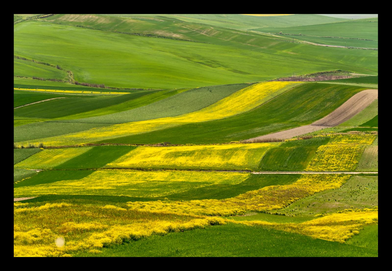 ALTA MURGIA IN PRIMAVERA#1