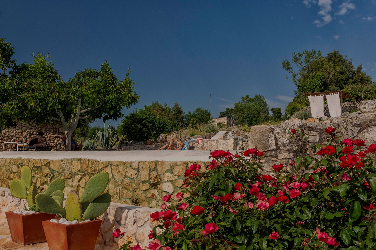 DIMORA CASANOIA — fotografia 10 di Francesco Loliva