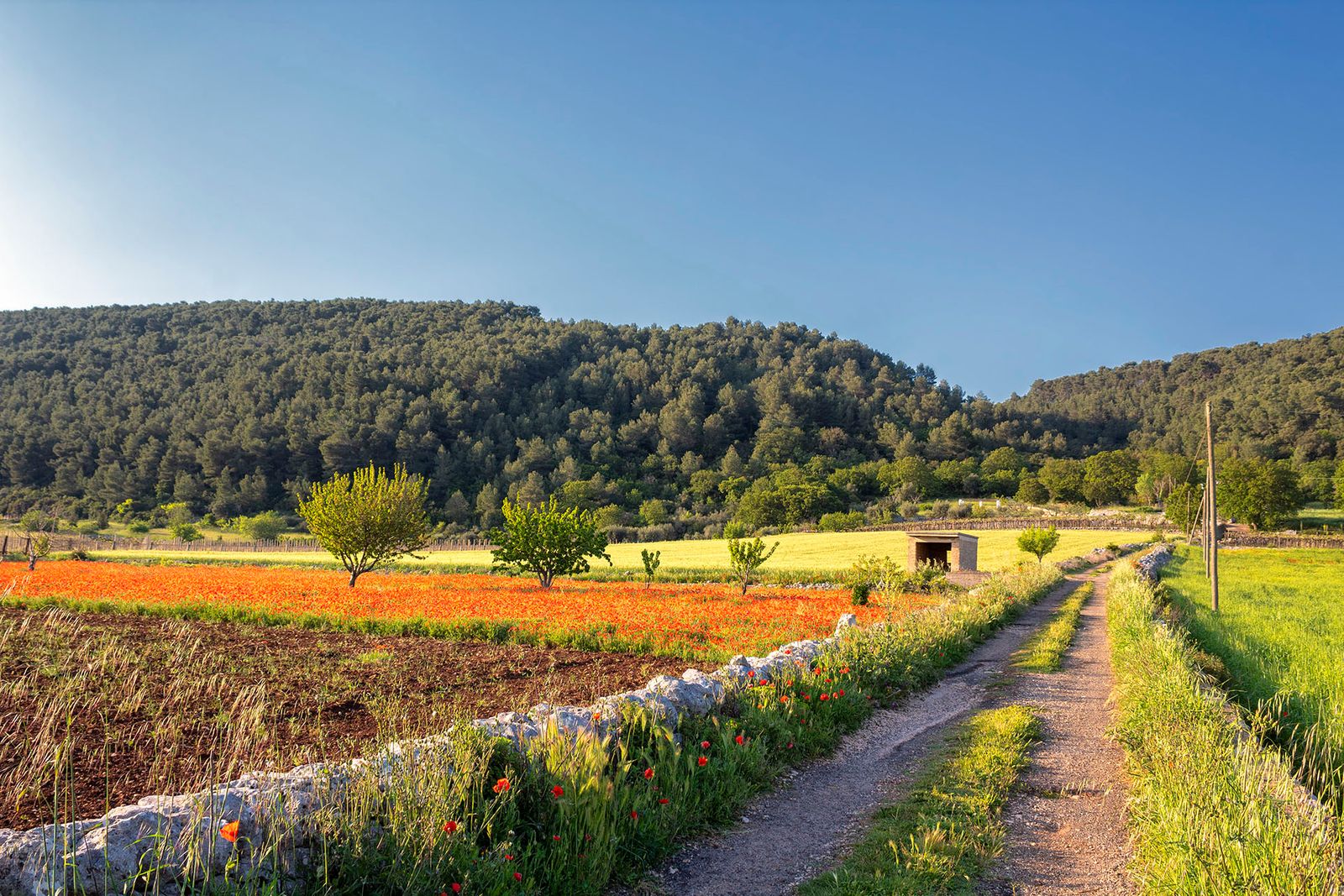 STRADA DI CAMPAGNA