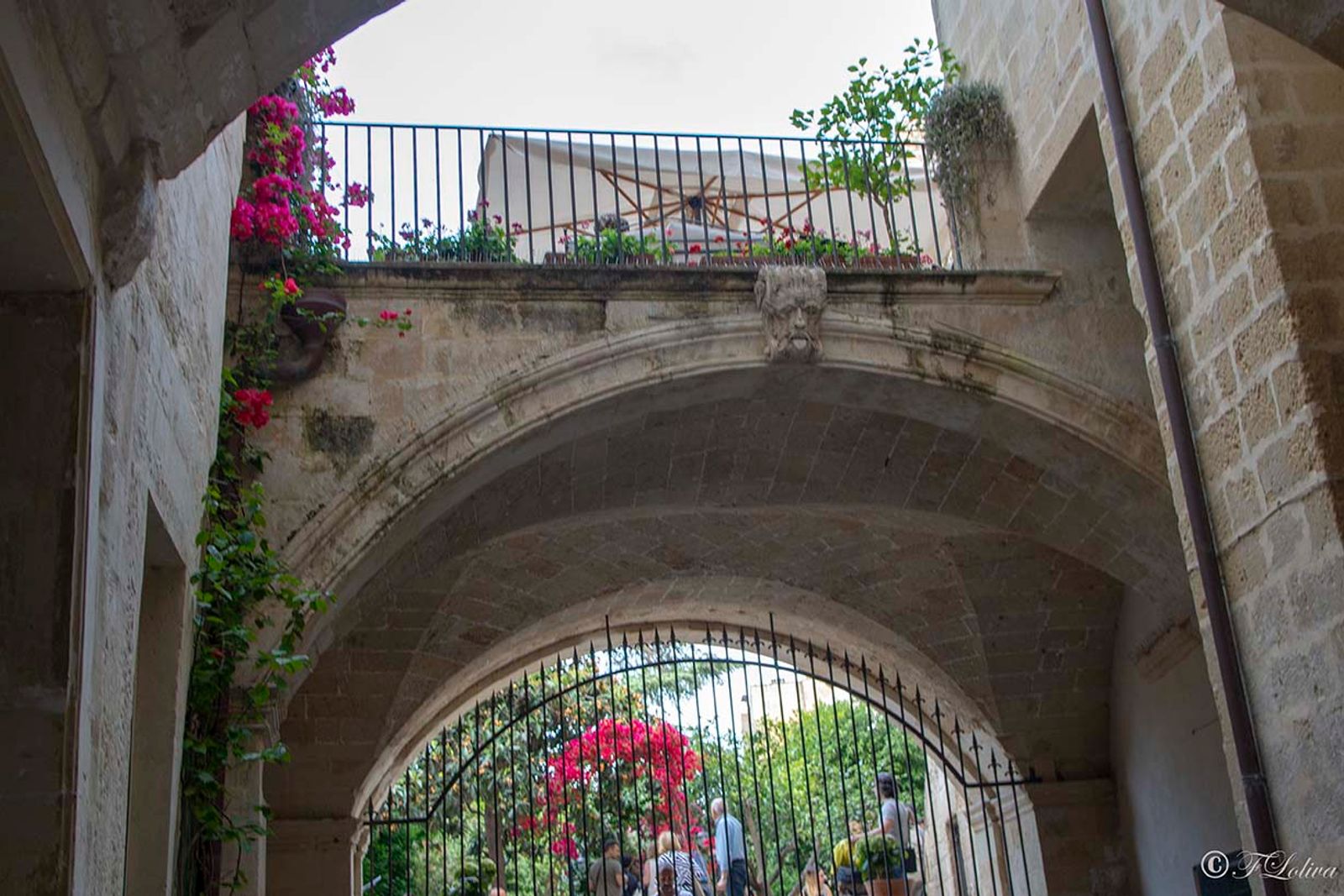 LECCE - CORTILI APERTI — fotografia 14 di Francesco Loliva