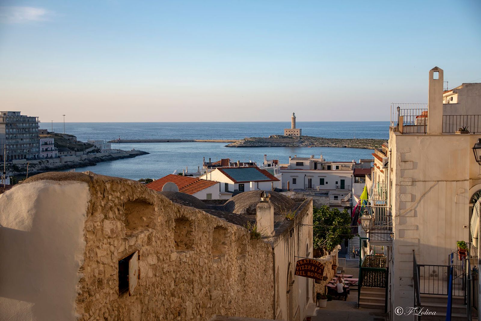 VIESTE - PESCHICI — fotografia 14 di Francesco Loliva