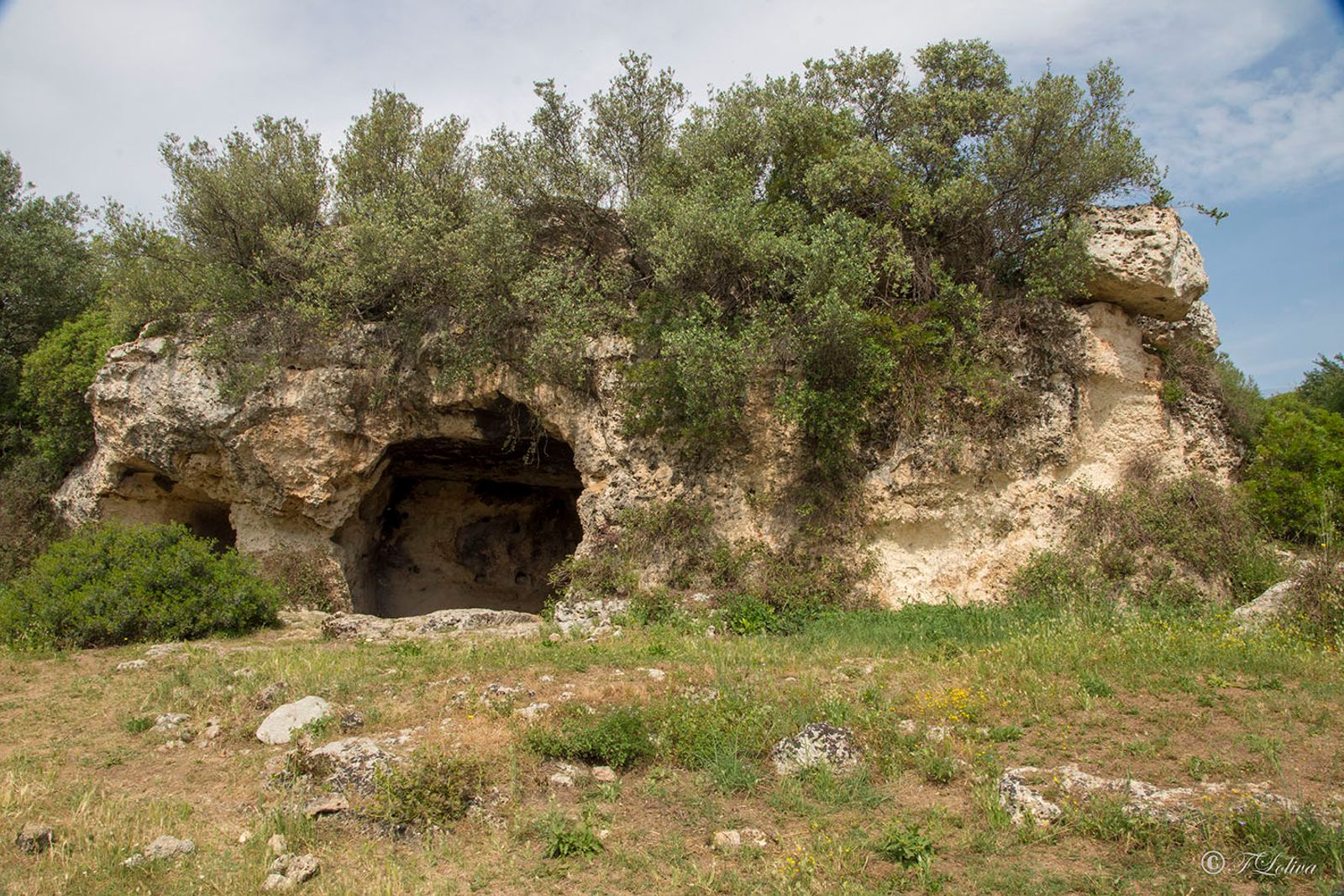 LAMA D'ANTICO - FASANO — fotografia 15 di Francesco Loliva