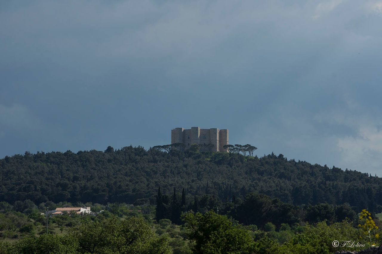 PUGLIA IMPERIALE
