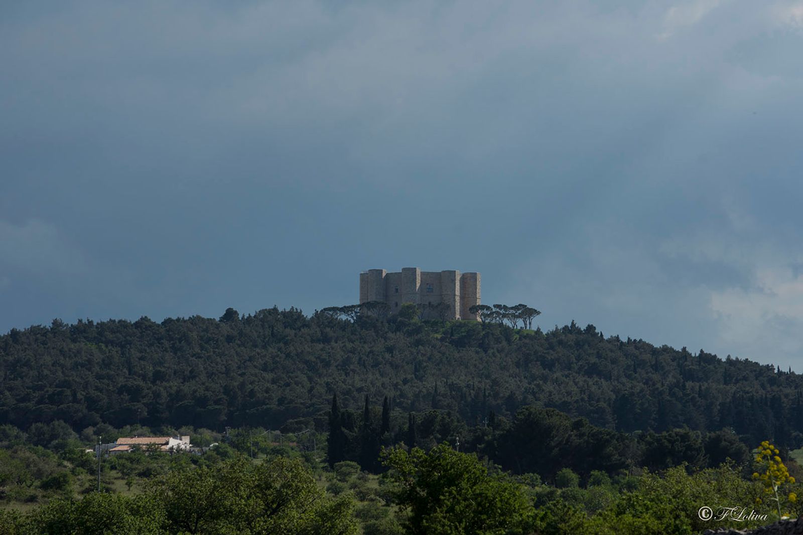 CASTEL DEL MONTE Fatto costruire da Federico II di Svevia nel XIII secolo, il Castello domina, con la sua massiccia…
