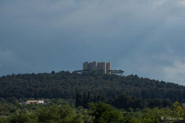PUGLIA IMPERIALE