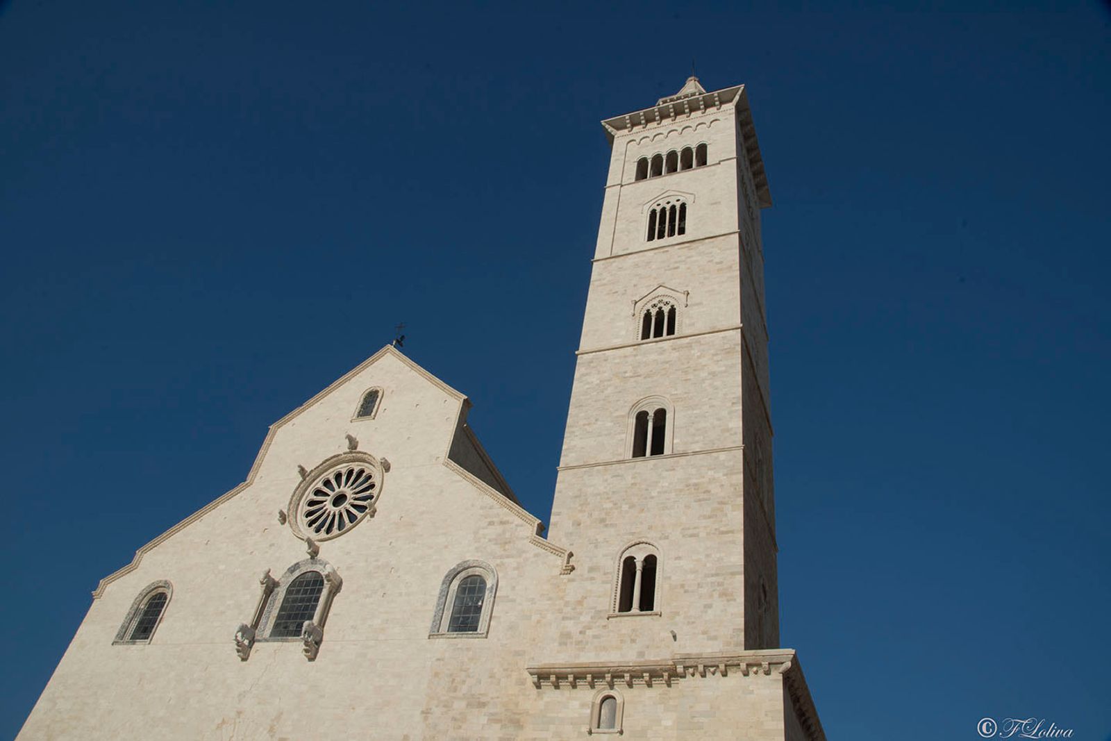 PUGLIA IMPERIALE — fotografia 19 di Francesco Loliva