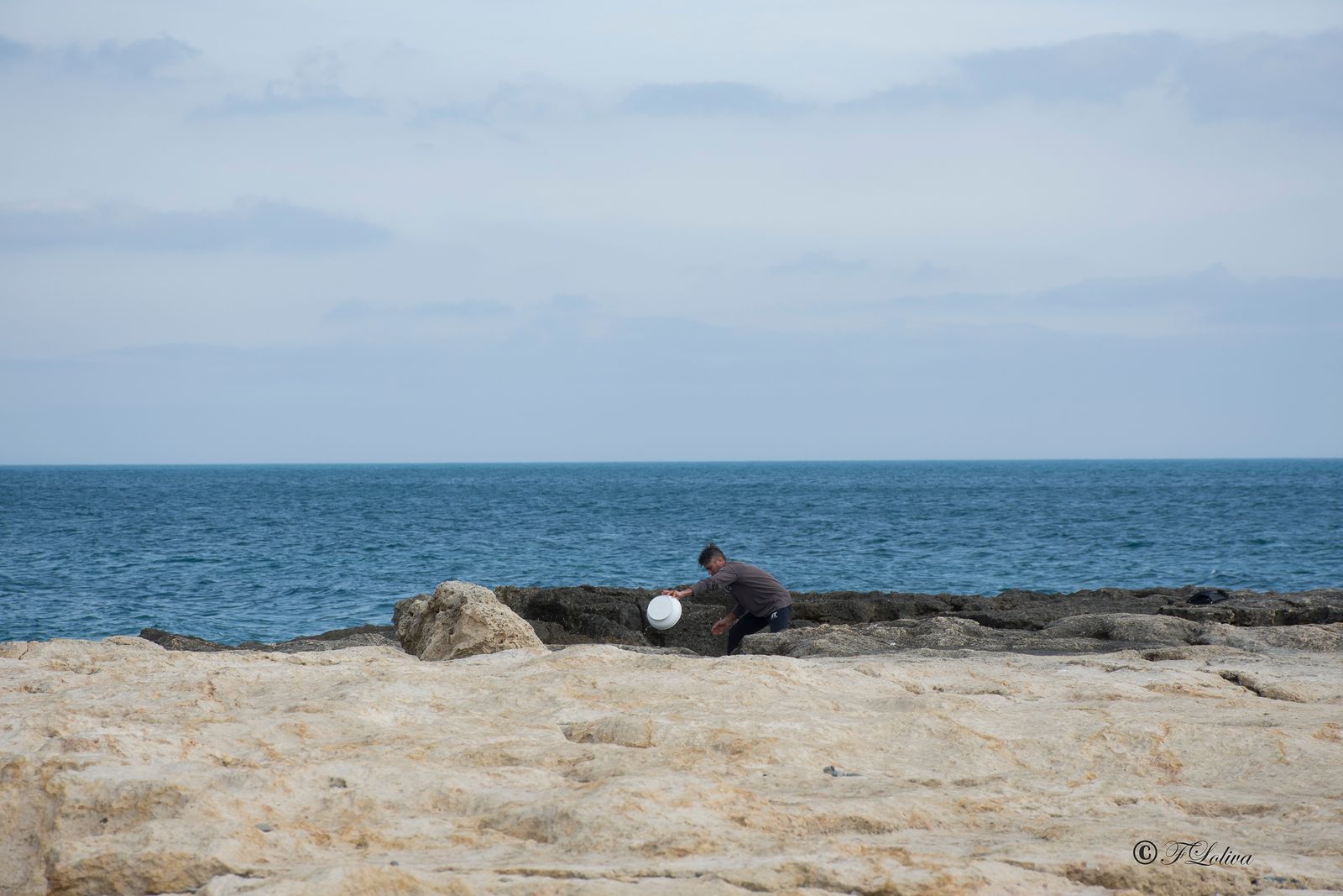 CHI APRE I RICCI DI MARE
