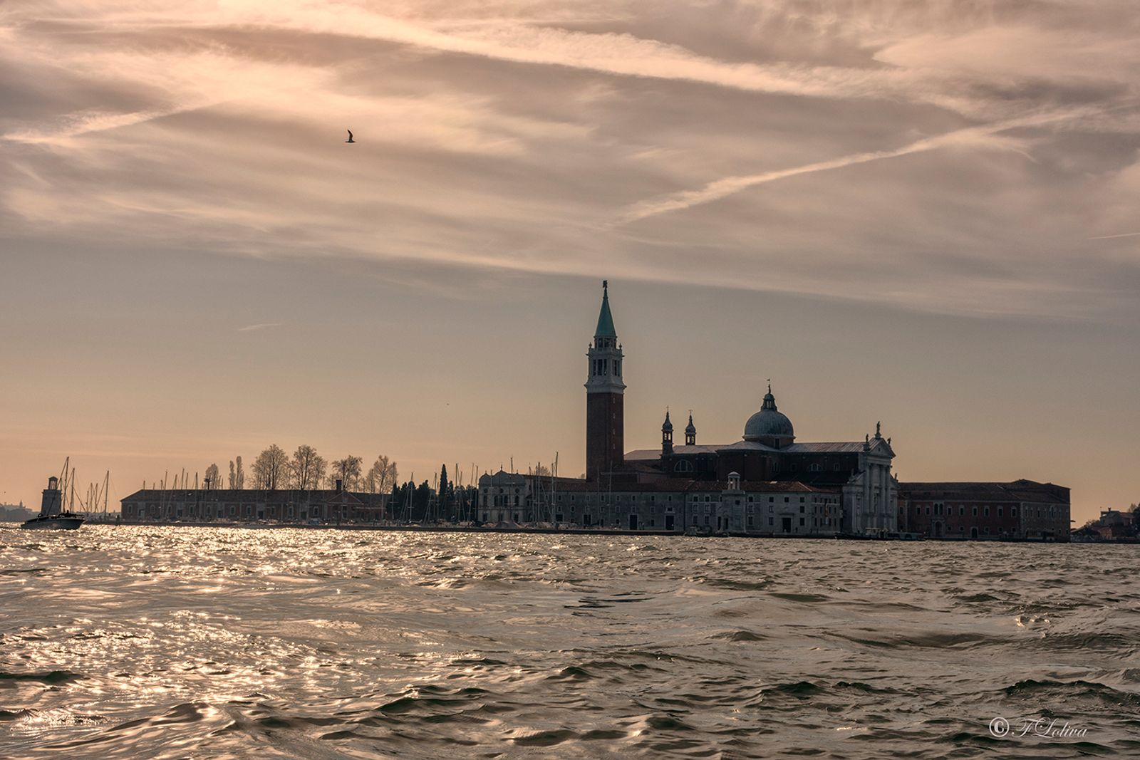 VENEZIA 2019 — fotografia 8 di Francesco Loliva