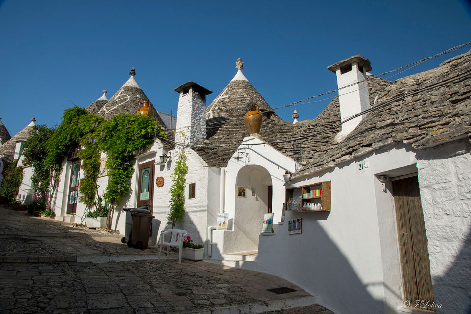 ALBEROBELLO