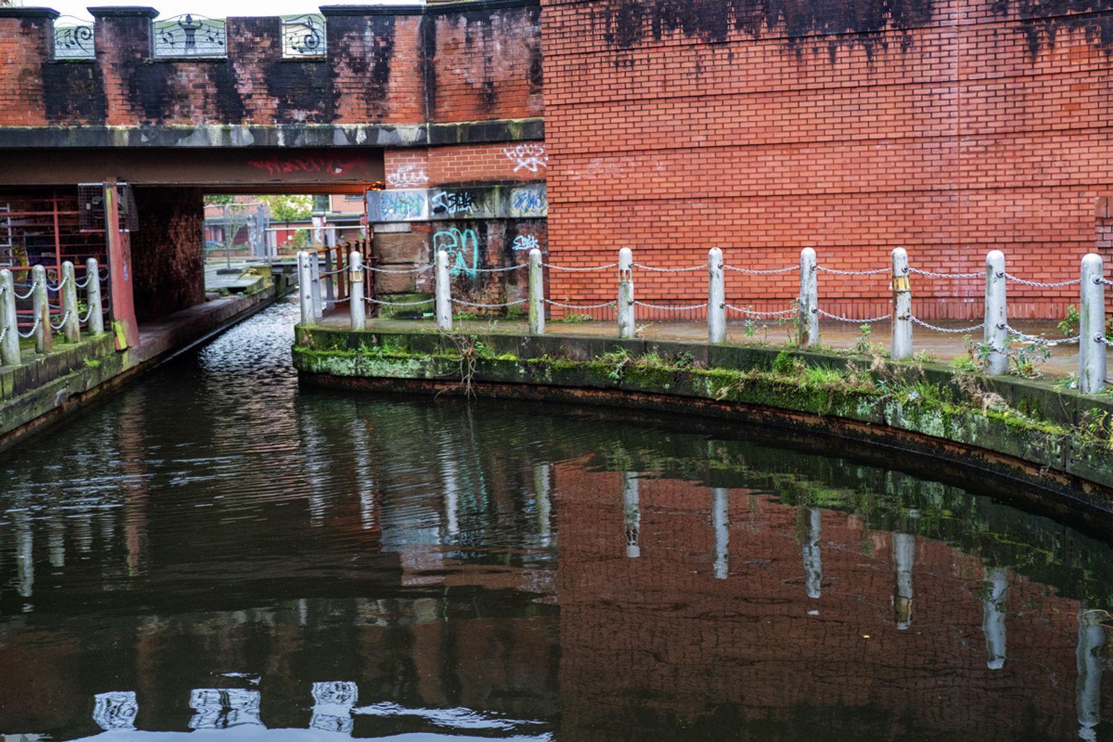 NATALE A MANCHESTER — fotografia 51 di Francesco Loliva
