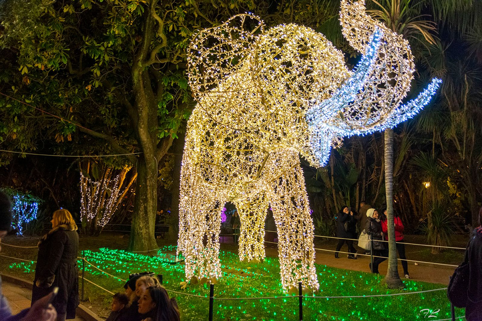SALERNO IL PORTO E LE LUCI D'ARTISTA — fotografia 11 di Francesco Loliva