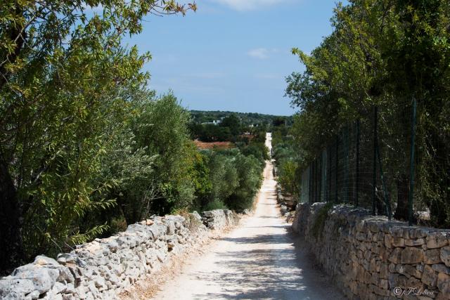 UN POMERIGGIO IN CAMPAGNA ( Valle dItria)