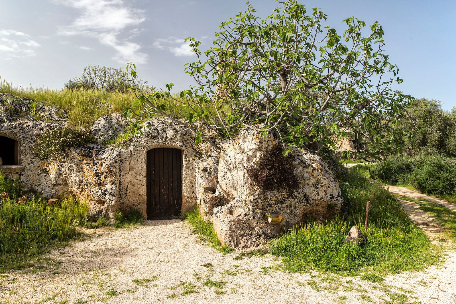 PAESAGGIO RUPESTRE