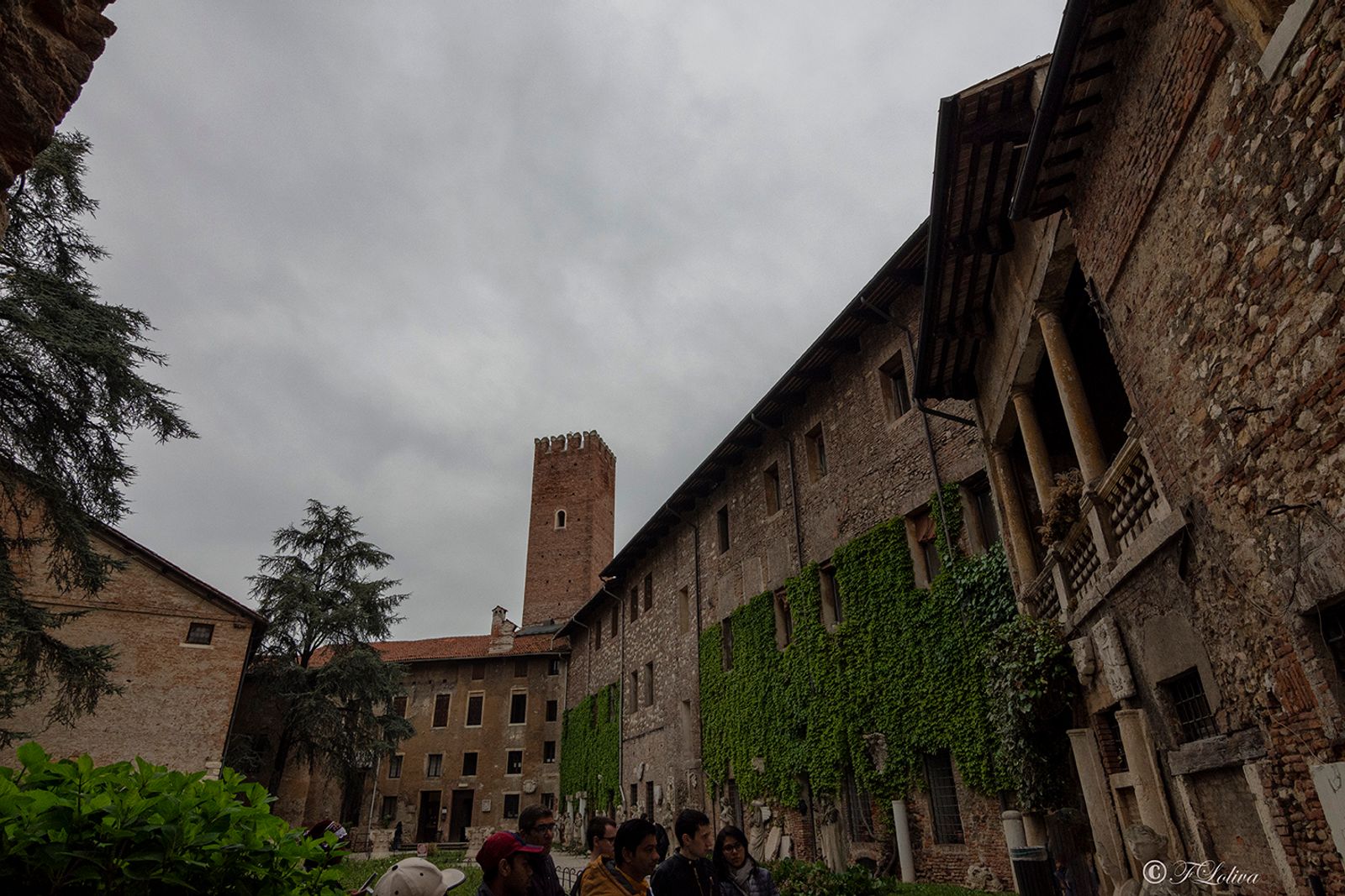 VICENZA 2019 — fotografia 22 di Francesco Loliva