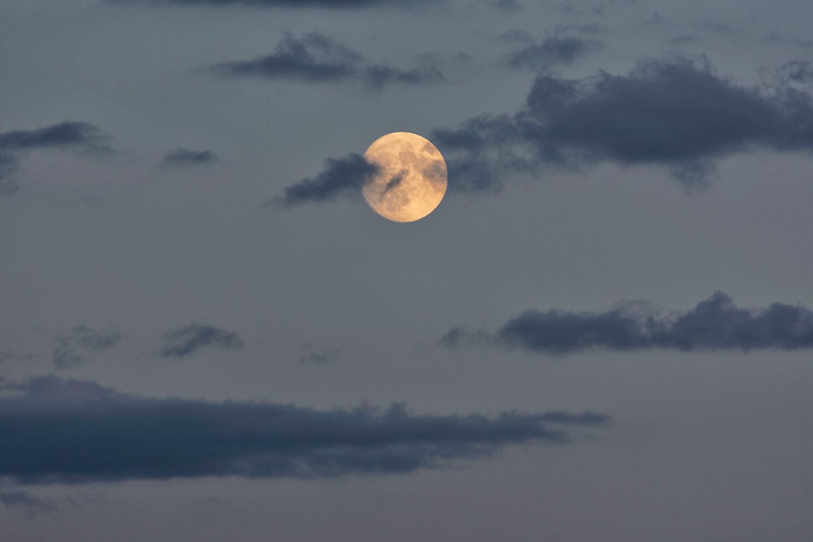 Full moon — fotografia 15 di Francesco Loliva