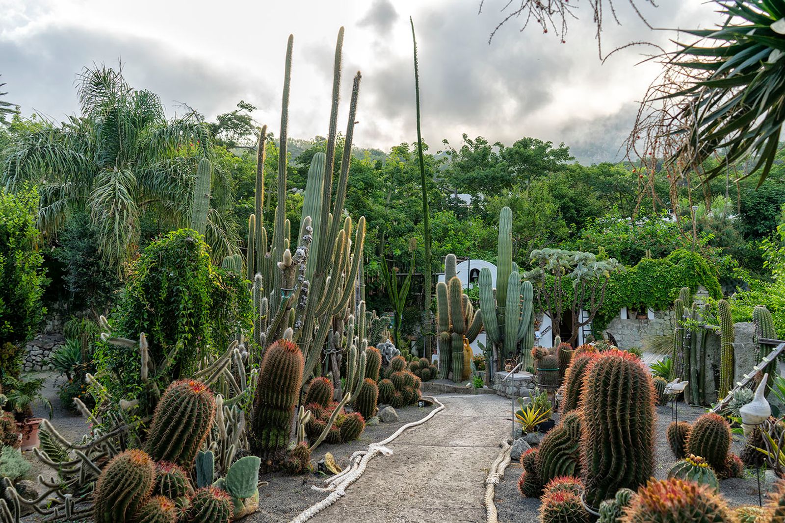 GIARDINI RAVINO - FORIO D'ISCHIA — fotografia 14 di Francesco Loliva