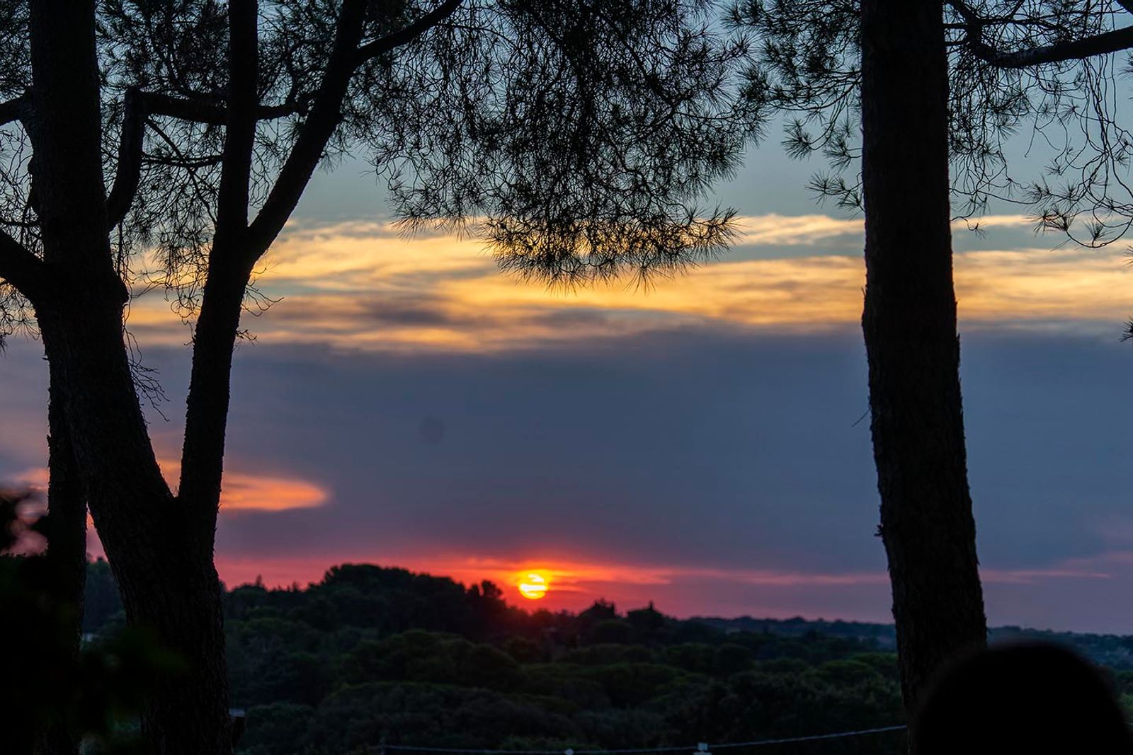 TRAMONTI SILVANI#4