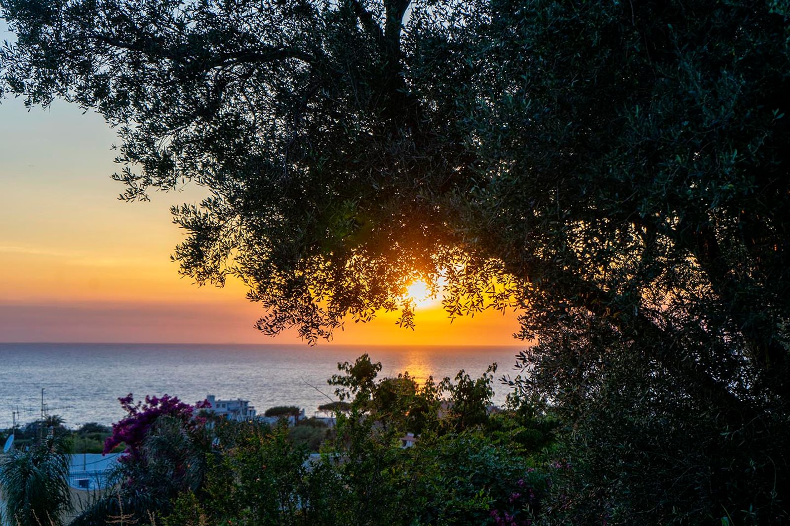 TRAMONTO ISCHITANO #3