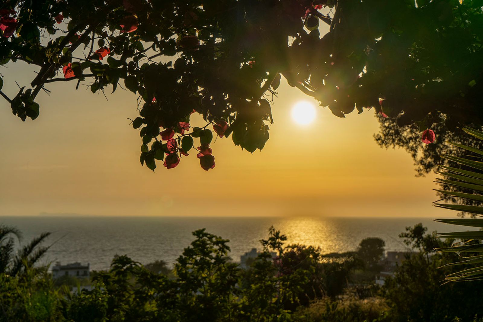 TRAMONTO ISCHITANO #7