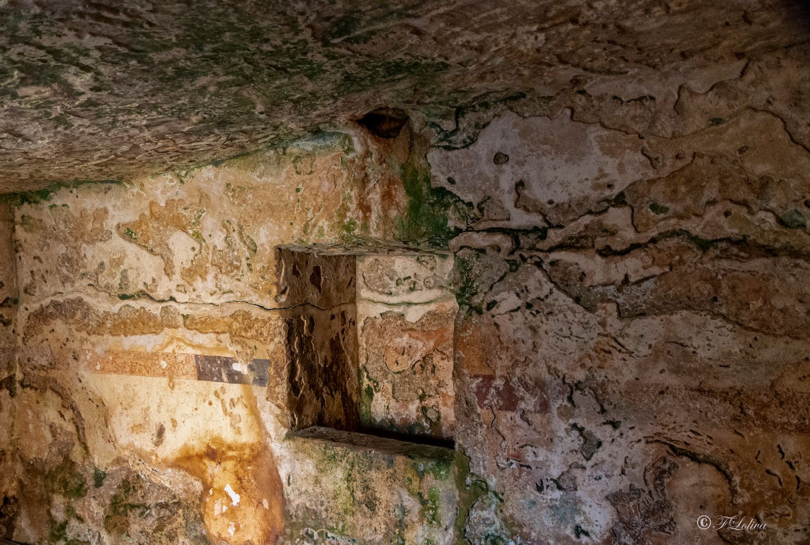 PARCO ARCHEOLOGICO DI EGNAZIA — fotografia 13 di Francesco Loliva