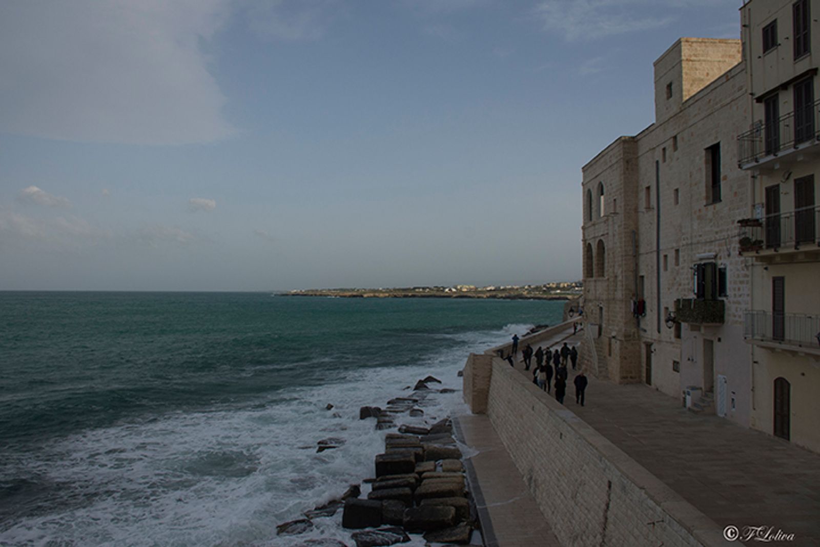 MONOPOLI — fotografia 7 di Francesco Loliva