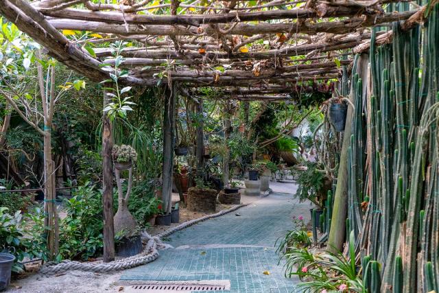 GIARDINI RAVINO - FORIO D'ISCHIA