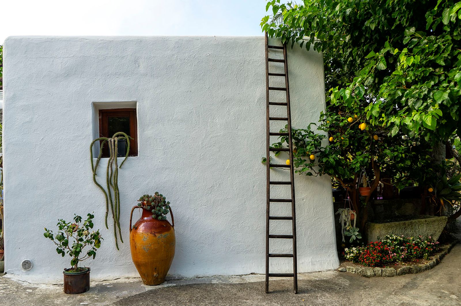 GIARDINI RAVINO - FORIO D'ISCHIA — fotografia 31 di Francesco Loliva