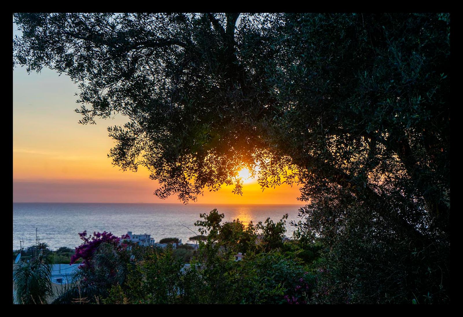 TRAMONTO ISCHITANO #3