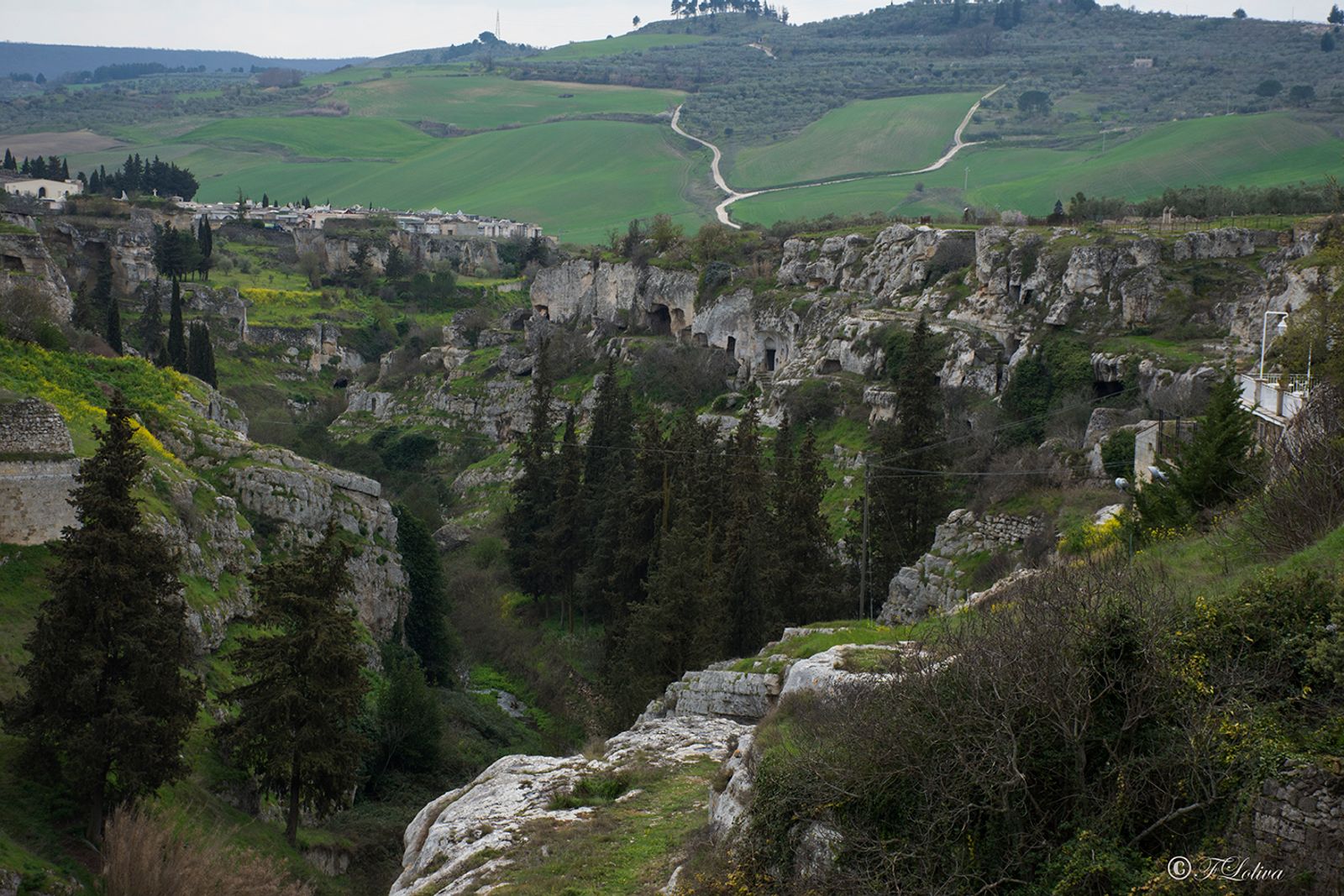 La Gravina di Botromagno