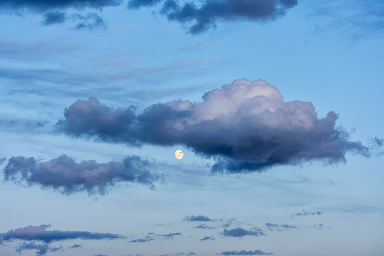Full moon — fotografia 16 di Francesco Loliva