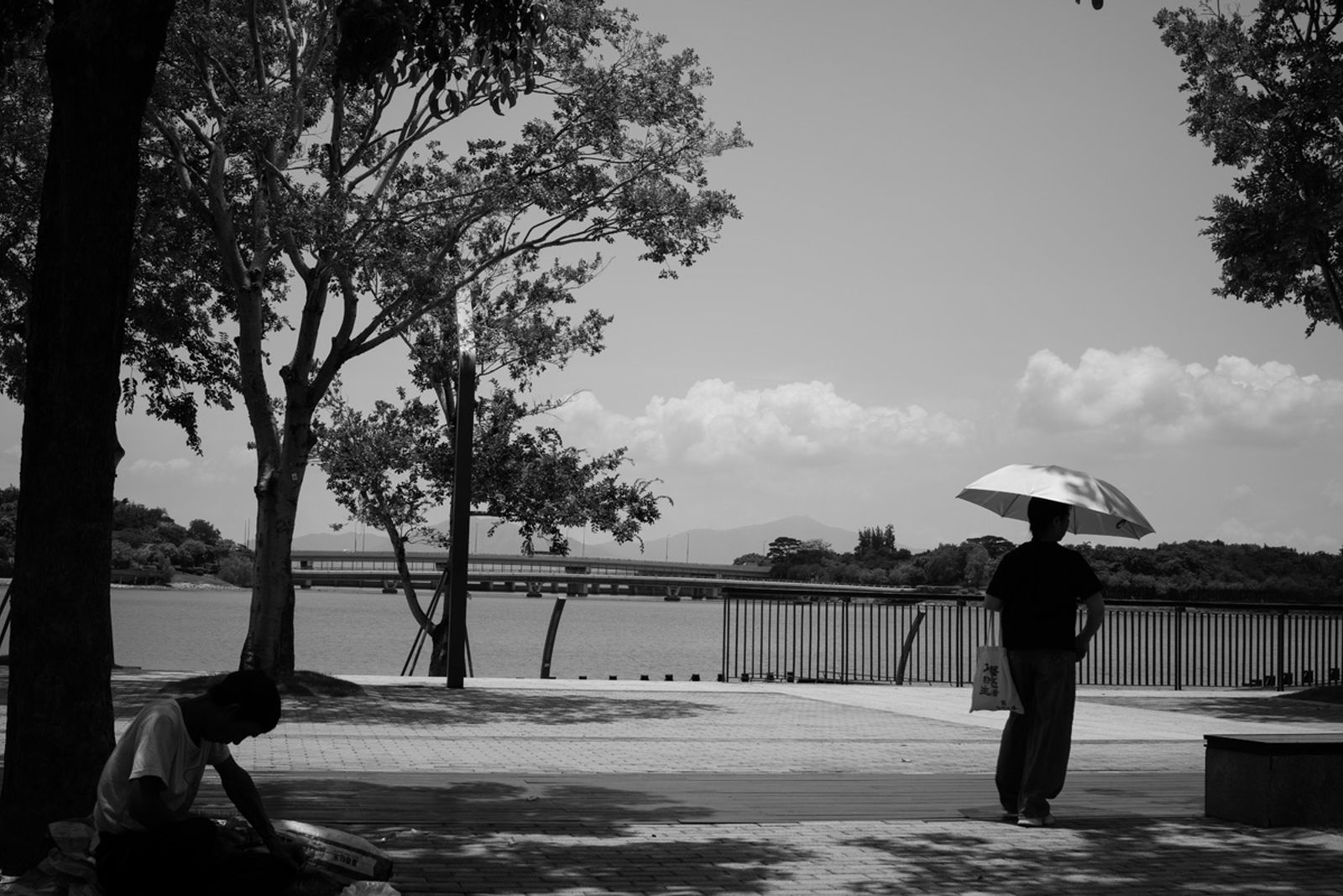 STREET PHOTOGRAPHY — fotografia 3 di Francesco Loliva
