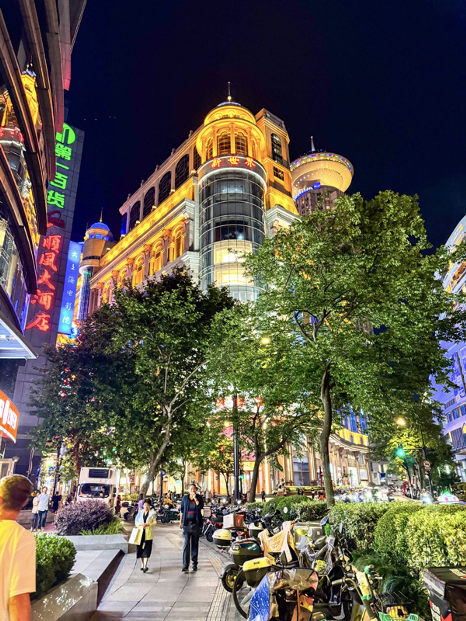 VIAGGIO A SHANGAI 2024 — fotografia 11 di Francesco Loliva