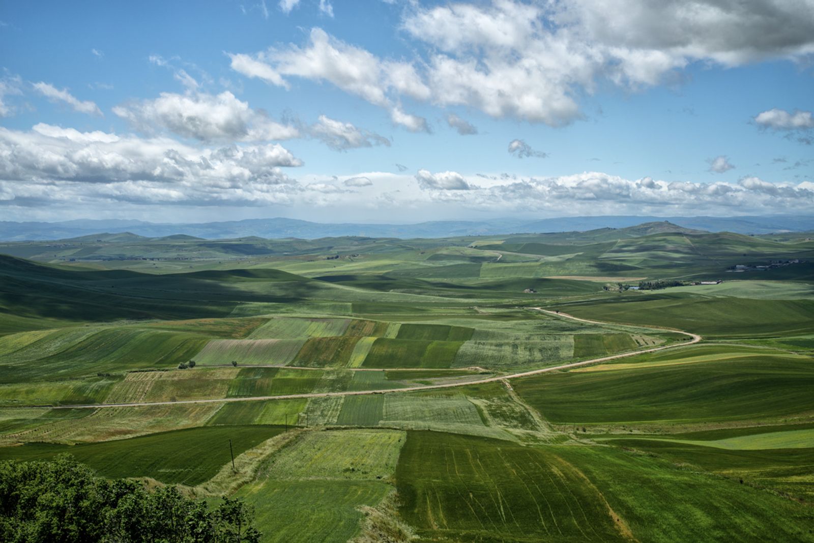 ALTA MURGIA PRIMAVERA 2026 — fotografia 5 di Francesco Loliva