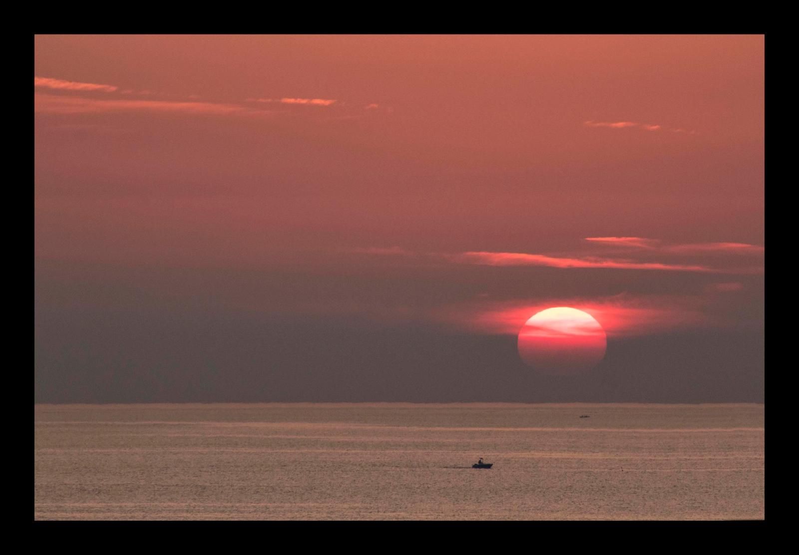 ALBA ROSA OPERA ESPOSTA A BERGAMO - IESOLO - MILANO
