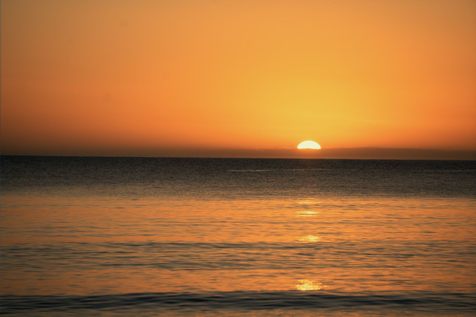 IL MARE SI SVEGLIA PRIMA DI NOI — fotografia 3 di Francesco Loliva