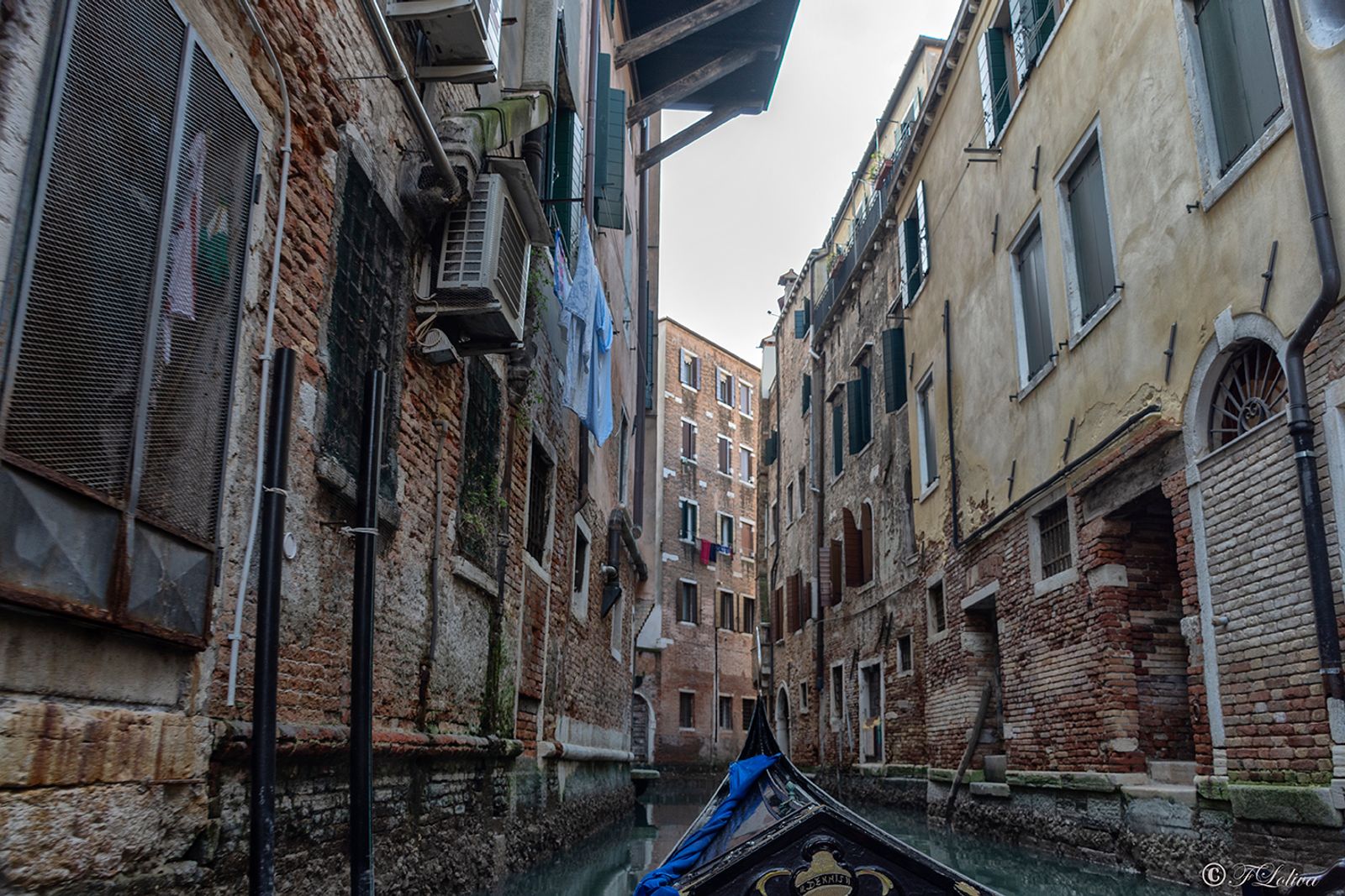 VENEZIA 2019 — fotografia 14 di Francesco Loliva