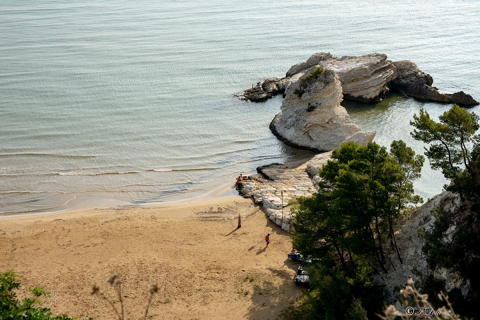 VIESTE - PESCHICI — fotografia 10 di Francesco Loliva