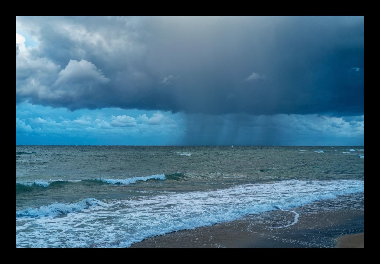 MARE MOSSO#1