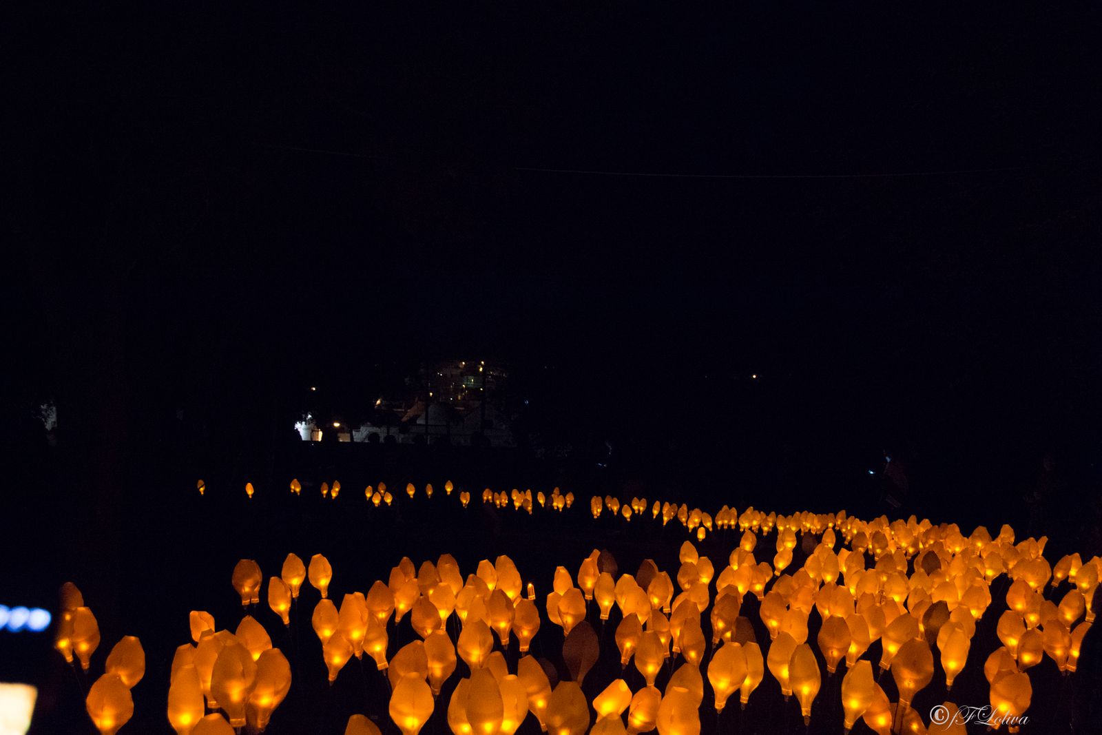 LIGHTFESTIVAL ALBEROBELLO — fotografia 18 di Francesco Loliva
