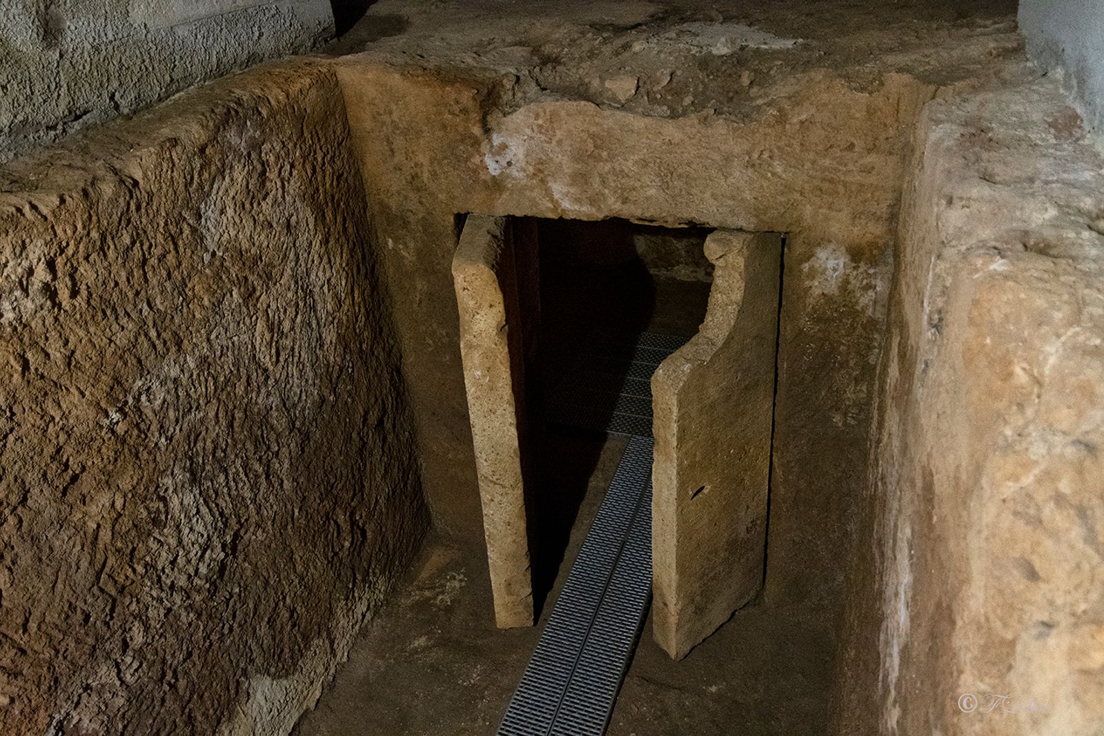 Le tombe messapiche scoperte nelle necropoli presentano spesso decorazioni pittoriche che forniscono preziose…