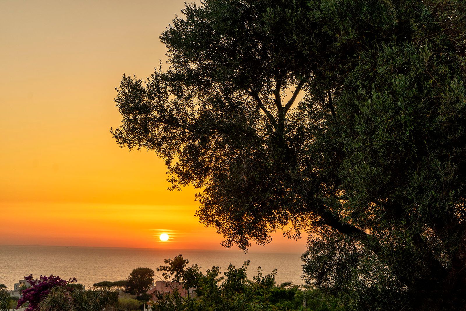 TRAMONTO CROATO #12